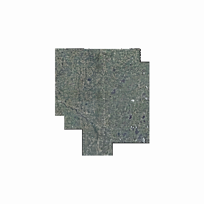 Export Image