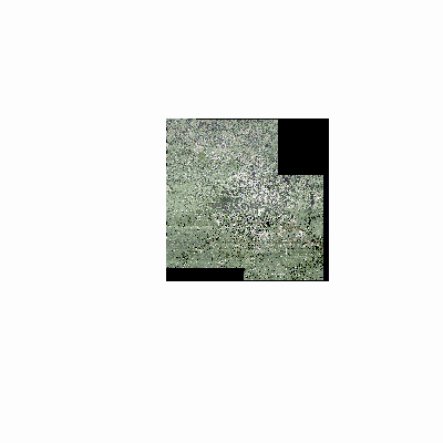Export Image